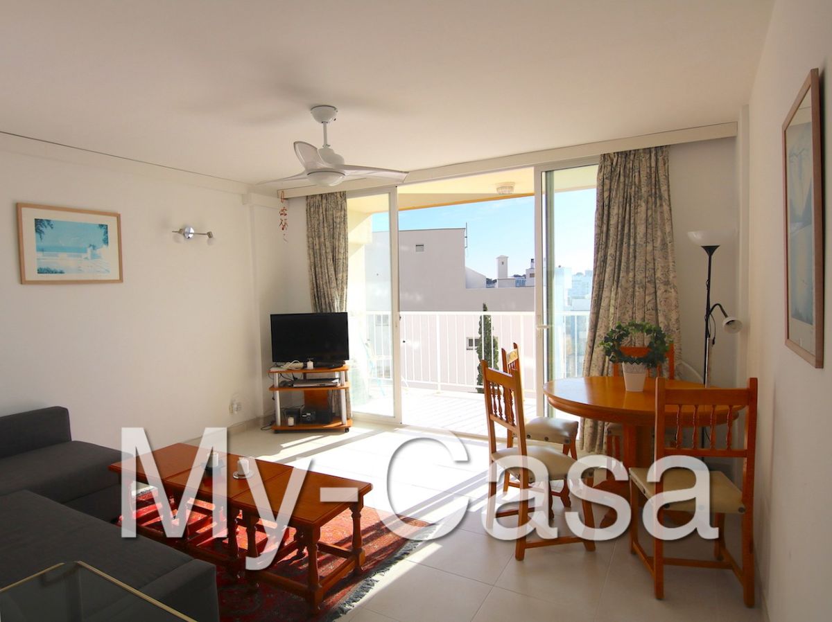 Apartment Sale Palma Nova A548
