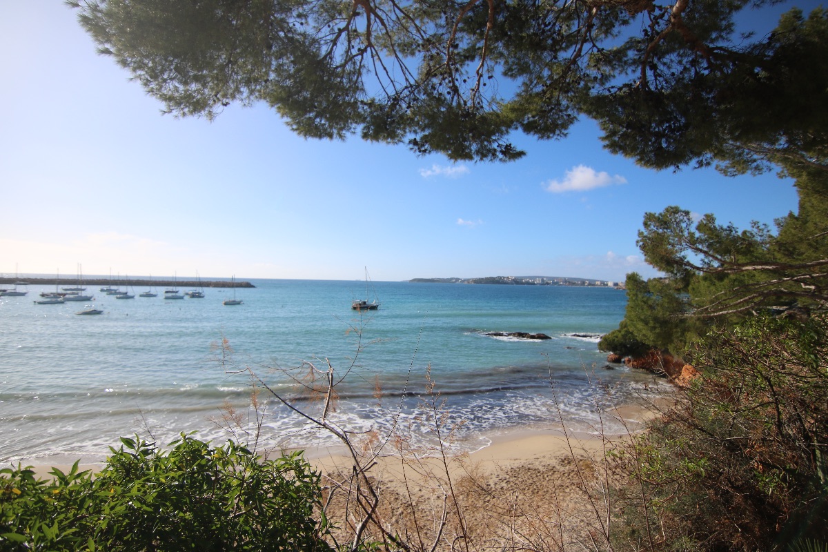 Piso AlquilerAlquilerAlquilerAlquilerAlquilerAlquilerAlquilerAlquiler Mallorca Costa den Blanes R375 Piso AlquilerAlquilerAlquilerAlquilerAlquilerAlquilerAlquilerAlquiler Mallorca Costa den Blanes R375