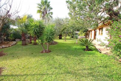 Casa Venta Palma Ciudad V261