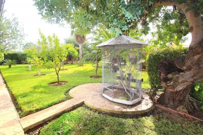 Casa Venta Palma Ciudad V261