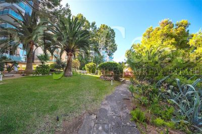 Appartement Vente Illetas A472