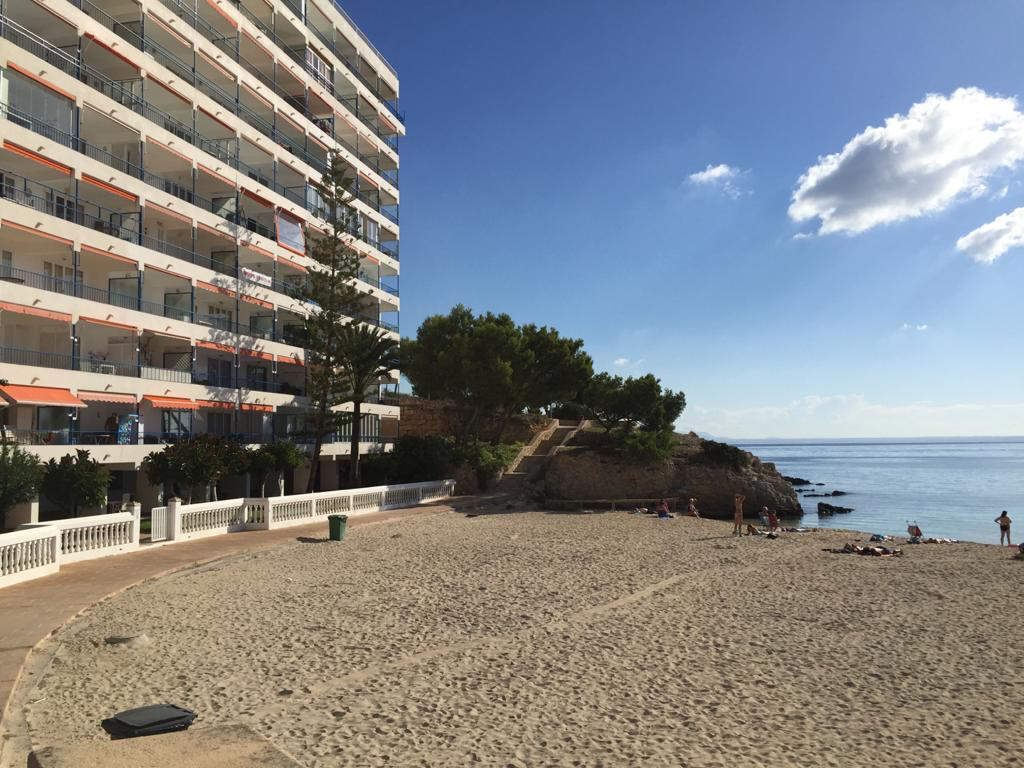 Piso Alquiler Palma Nova R353