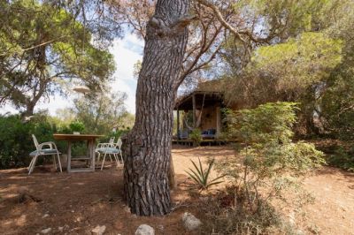 Finca Rústica Alquiler Ses Salines R368