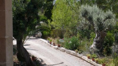 Casa Venta Calvia V354