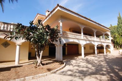 Casa Alquiler Palma Nova R372