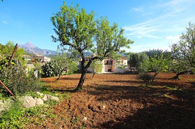 Solar Venta Capdellà  s133