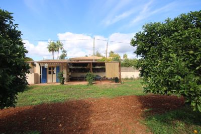 Finca Rústica  Santa Maria del Cami V366