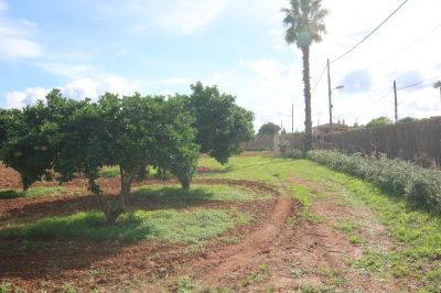 Finca Rústica  Santa Maria del Cami V366