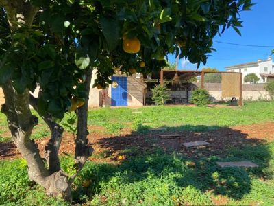 Finca Rústica  Santa Maria del Cami V366