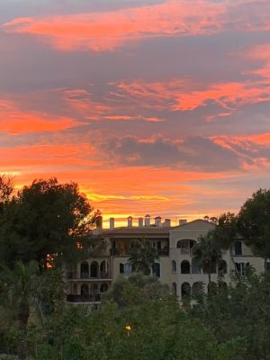 Piso Alquiler Bendinat R379