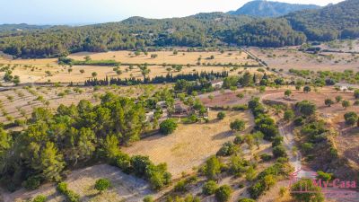 Finca Rústica Venta Capdellà  v368