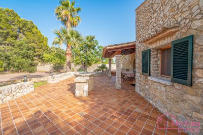 Finca Rústica Venta Capdellà  v368