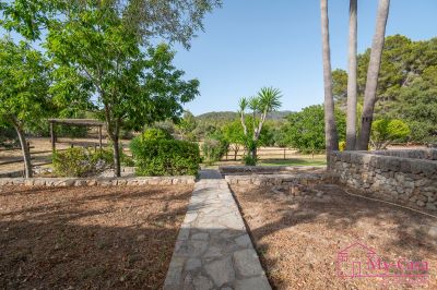 Finca Rústica Venta Capdellà  v368