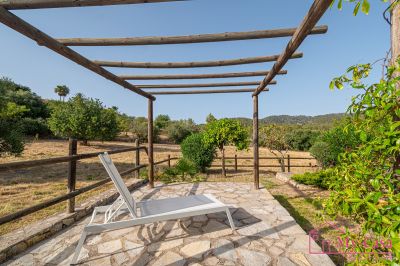 Finca Rústica Venta Capdellà  v368