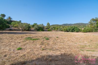 Finca Rústica Venta Capdellà  v368